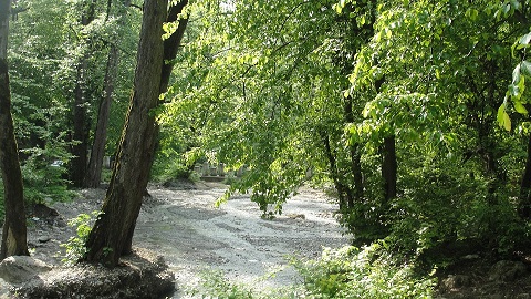 عنوان محتوای سفارشی